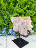 Amethyst fan-shaped thick disc on a stand (1580 gr/22 cm)