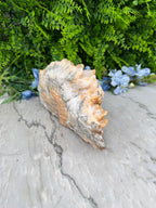 Museumstuk - Bergkristal met zeldzame begroeiing en Pyriet (2372 gr/23.5 cm)