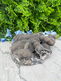 Amethist flower cluster XL (2312 gr/22.5 cm)