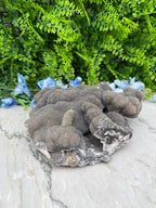 Amethist flower cluster XL (2312 gr/22.5 cm)