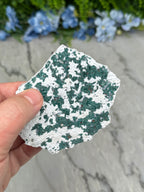 A hand is holding a piece of rock with a speckled surface, against a background of blue flowers.