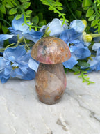 Rhodoniet paddenstoel (120 gr/6 cm)