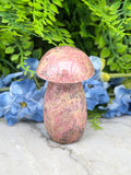 Rhodonite mushroom (328 g/9 cm)
