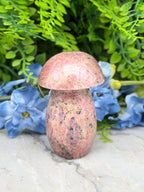 Rhodonite mushroom (328 g/9 cm)