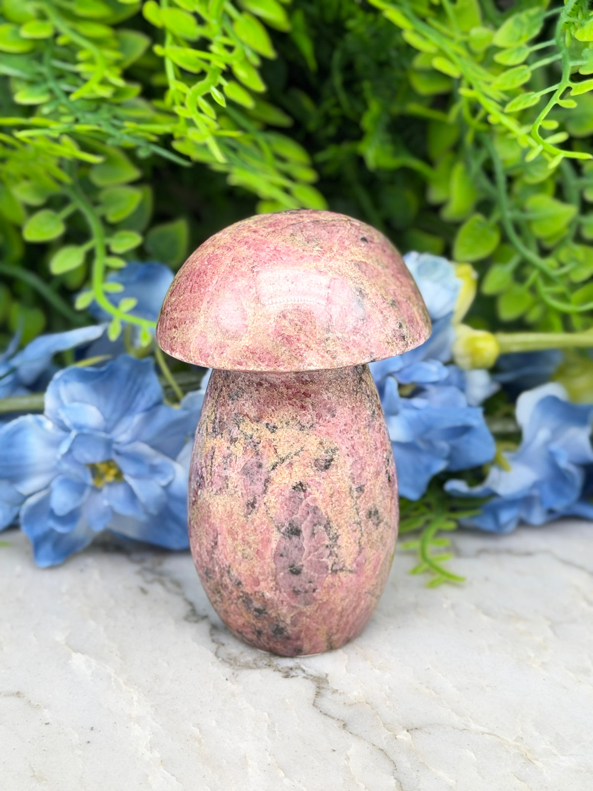 Rhodonite mushroom (328 g/9 cm)