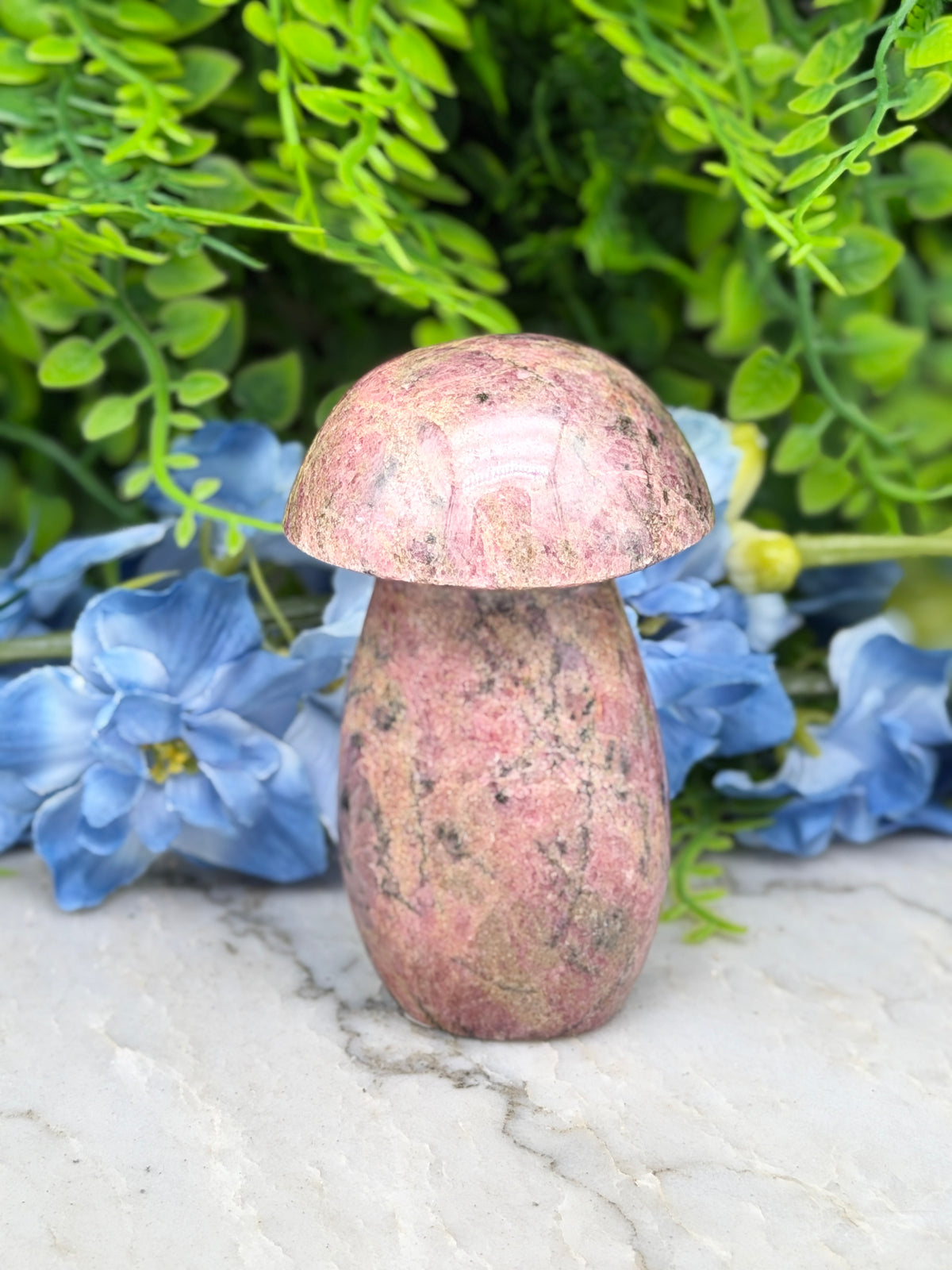 Rhodonite mushroom (328 g/9 cm)