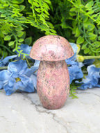 Rhodonite mushroom (328 g/9 cm)