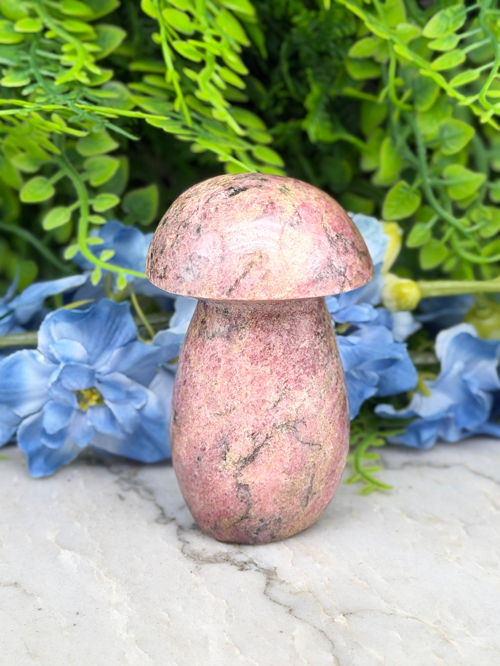 Rhodonite mushroom (328 g/9 cm)
