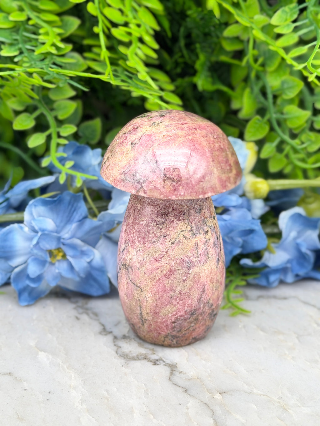 Rhodonite mushroom (328 g/9 cm)