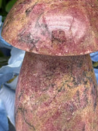 Rhodonite mushroom (328 g/9 cm)