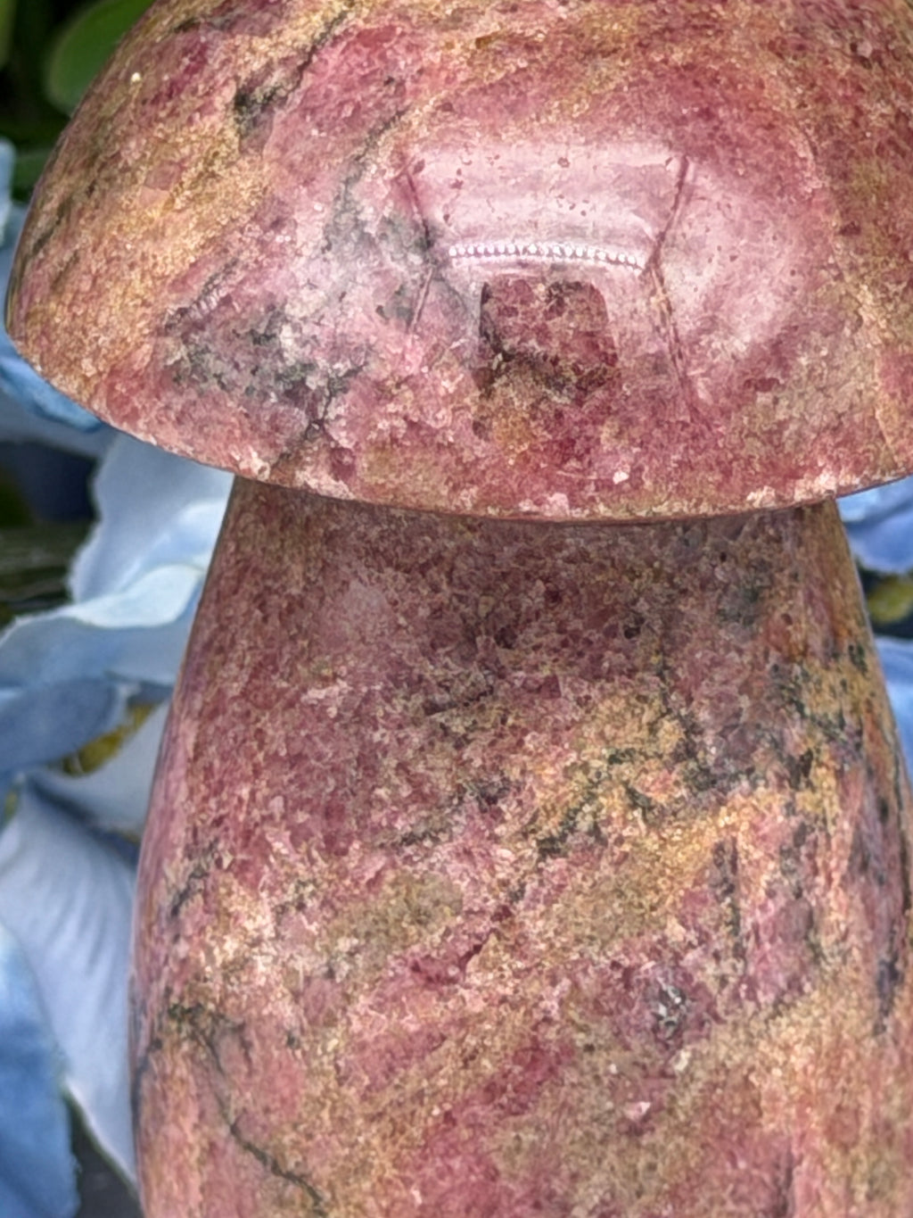 Rhodonite mushroom (328 g/9 cm)