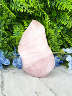 XL Rozenkwarts vlam (1312 gr/15 cm)