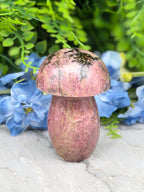 Rhodoniet paddenstoel (298 gr/8 cm)