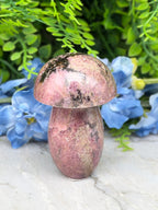 Rhodoniet paddenstoel (298 gr/8 cm)