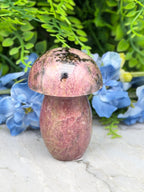 Rhodoniet paddenstoel (298 gr/8 cm)