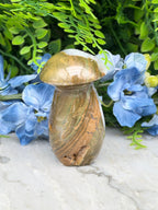 Oceaan Jaspis paddenstoel (156 gr/8 cm)