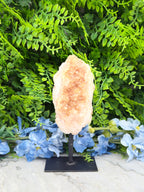 Citrine/Smoky Amethyst on a stand (414 g/15 cm)