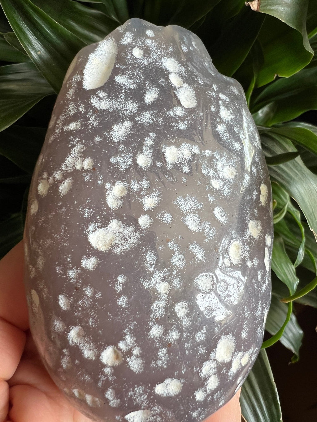 Brasilianischer Wasserachat mit eingeschlossenem Wasser – 328 Gramm von KEY LIME STORE