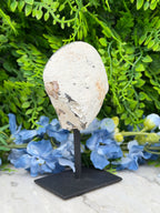 Agaat geode op standaard (358 gr/14 cm)
