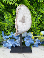 Agate geode on a stand (402 gr/16 cm)