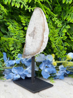 Agate geode on a stand (402 gr/16 cm)