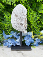Agate geode on a stand (402 gr/16 cm)