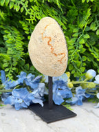 Agaat geode op standaard (418 gr/15 cm)