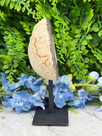 Agaat geode op standaard (418 gr/15 cm)
