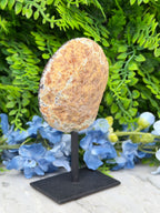 Agaat geode op standaard (264 gr/14 cm)