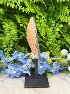 Agaat geode op standaard (264 gr/14 cm)