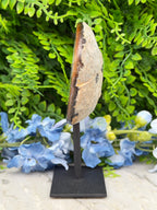 Agate geode on a stand (370 gr/15 cm)