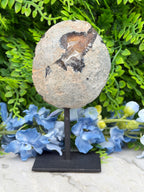 Agate geode on a stand (370 gr/15 cm)