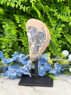 Agate geode on a stand (350 gr/13 cm)