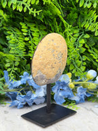 Agaat geode op standaard (272 gr/13 cm)