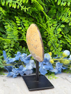 Agaat geode op standaard (272 gr/13 cm)