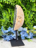 Agaat geode op standaard (384 gr/15 cm)