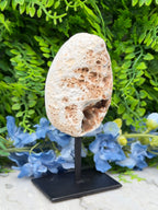 Agate geode on a stand (334 gr/14 cm)