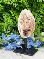 Agate geode on a stand (334 gr/14 cm)