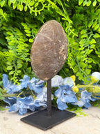 Agate geode on a stand (292 gr/14 cm)