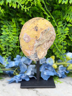Agaat geode op standaard (480 gr/14 cm)