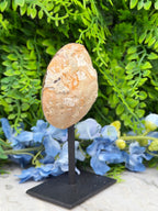 Agate geode on a stand (266 gr/14 cm)