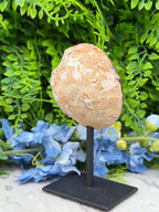 Agate geode on a stand (266 gr/14 cm)