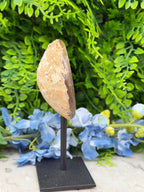 Agate geode on a stand (266 gr/14 cm)