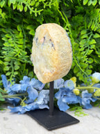 Agaat geode op standaard (442 gr/14 cm)