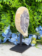 Agaat geode op standaard (394 gr/15 cm)