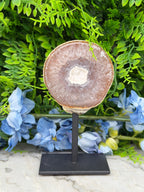 Agaat geode op standaard (328 gr/13 cm)