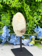 Agaat geode op standaard (328 gr/13 cm)