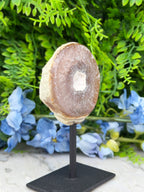 Agaat geode op standaard (328 gr/13 cm)