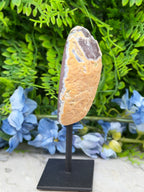Agaat geode op standaard (398 gr/15 cm)
