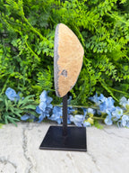 Halve Agaat op standaard (1280 gr/21 cm)